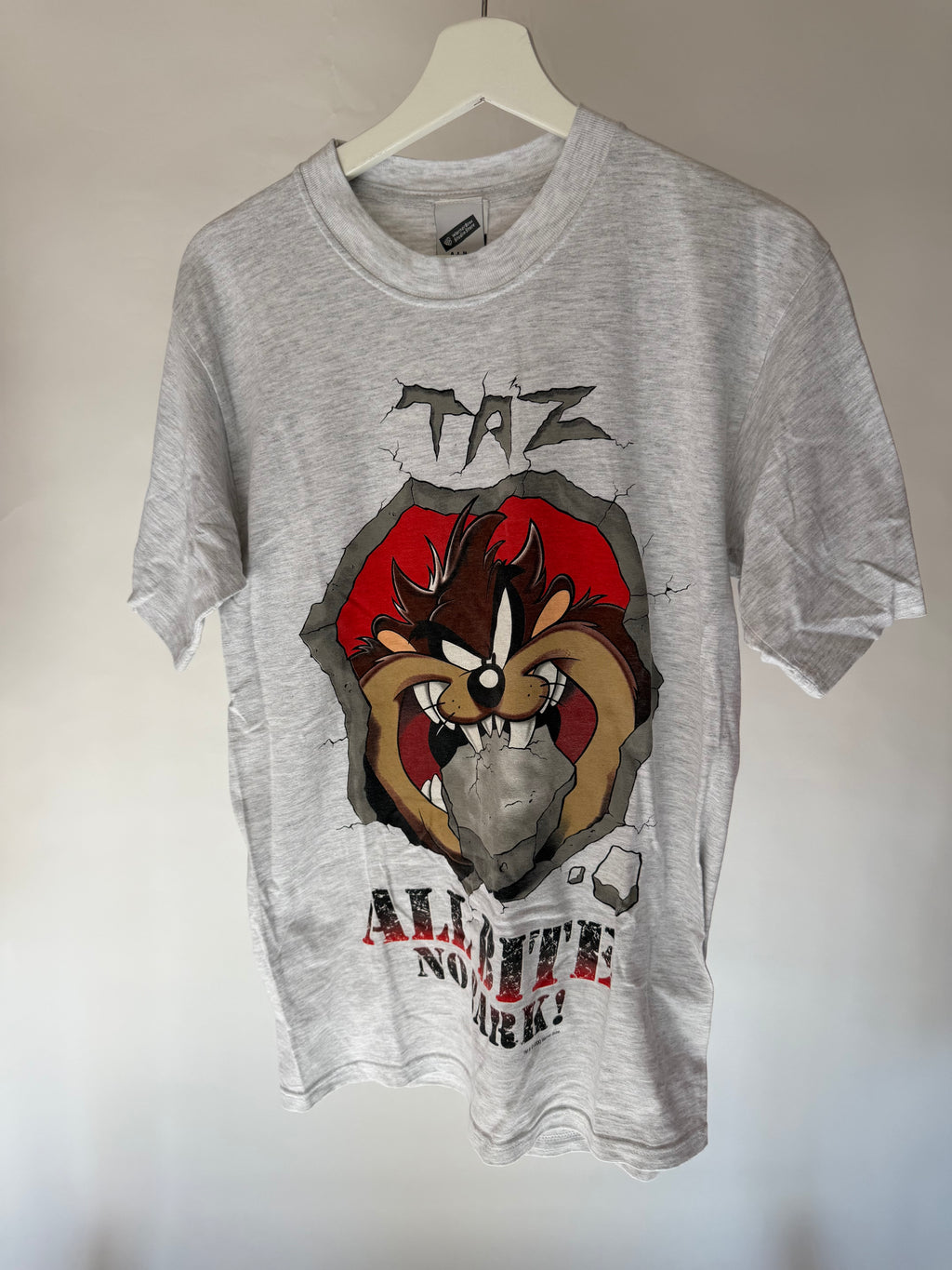 VINTAGE TAZ TEE