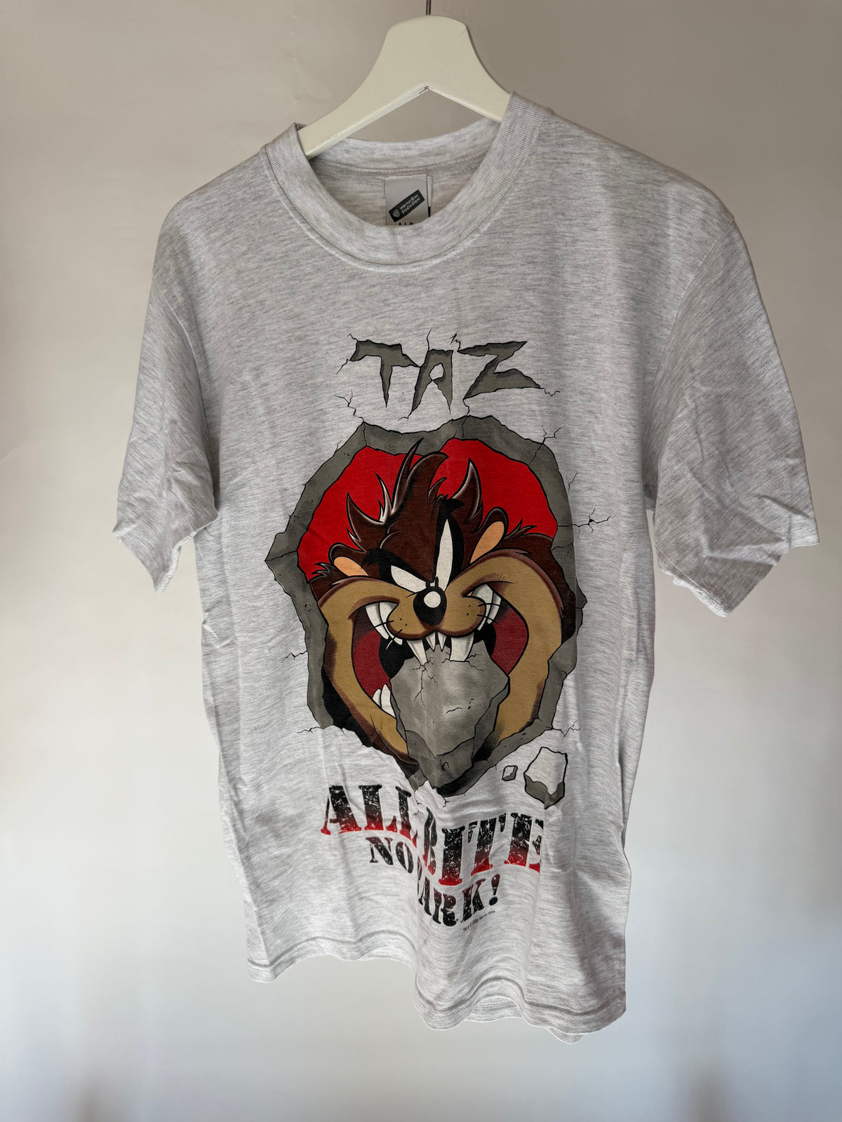 VINTAGE TAZ TEE