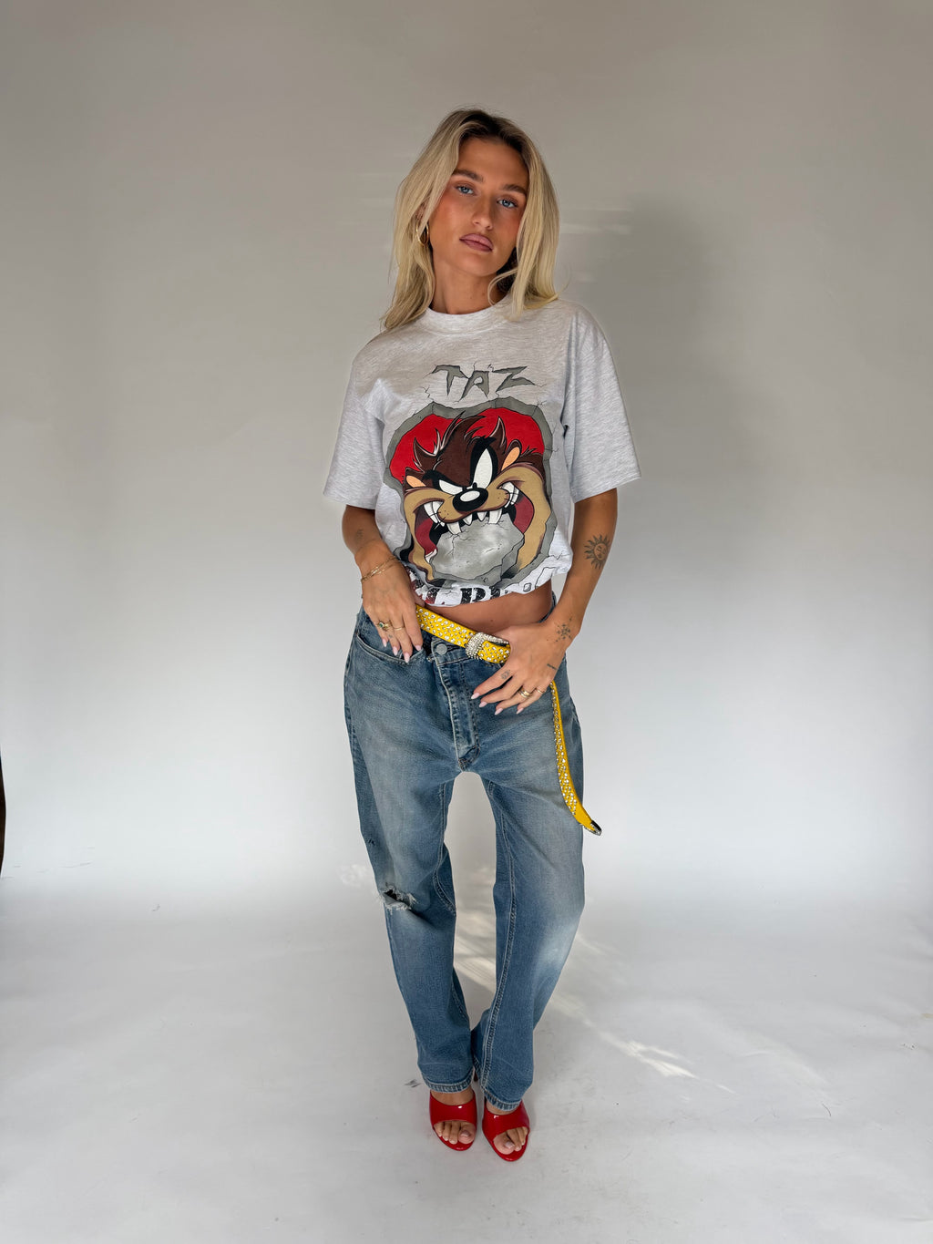 VINTAGE TAZ TEE