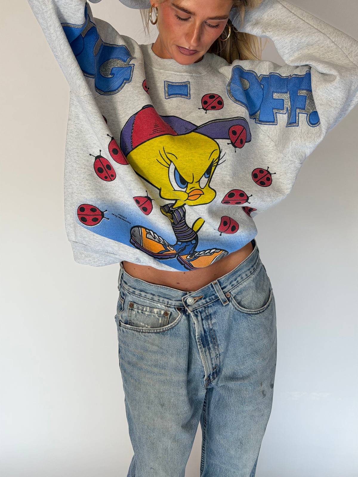 VINTAGE TWEETY “BUG OFF!” SWEATER