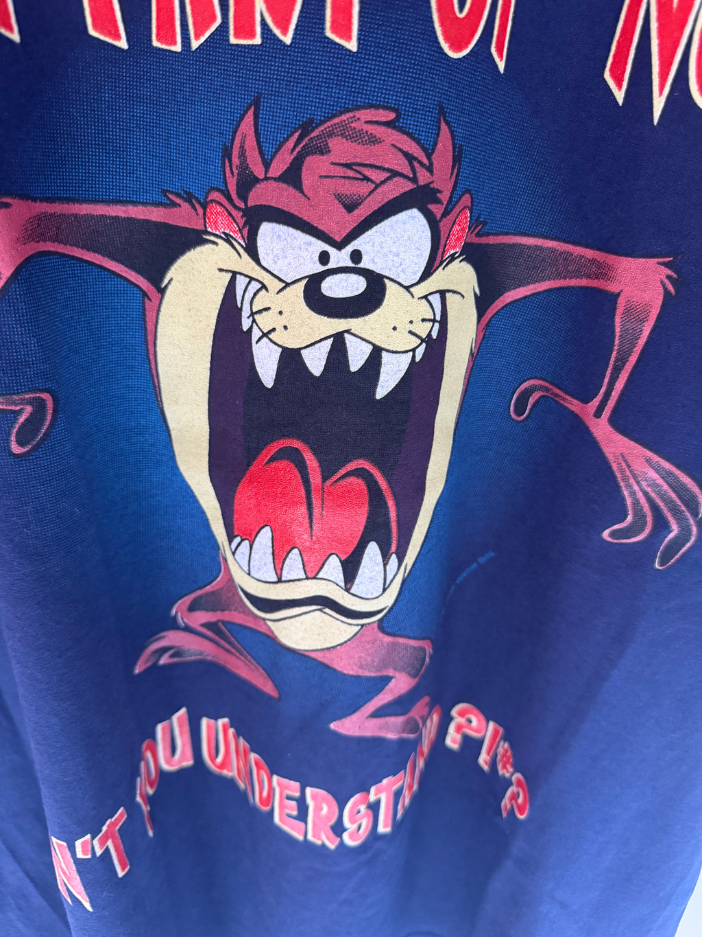VINTAGE TAZ FLORIDA TEE