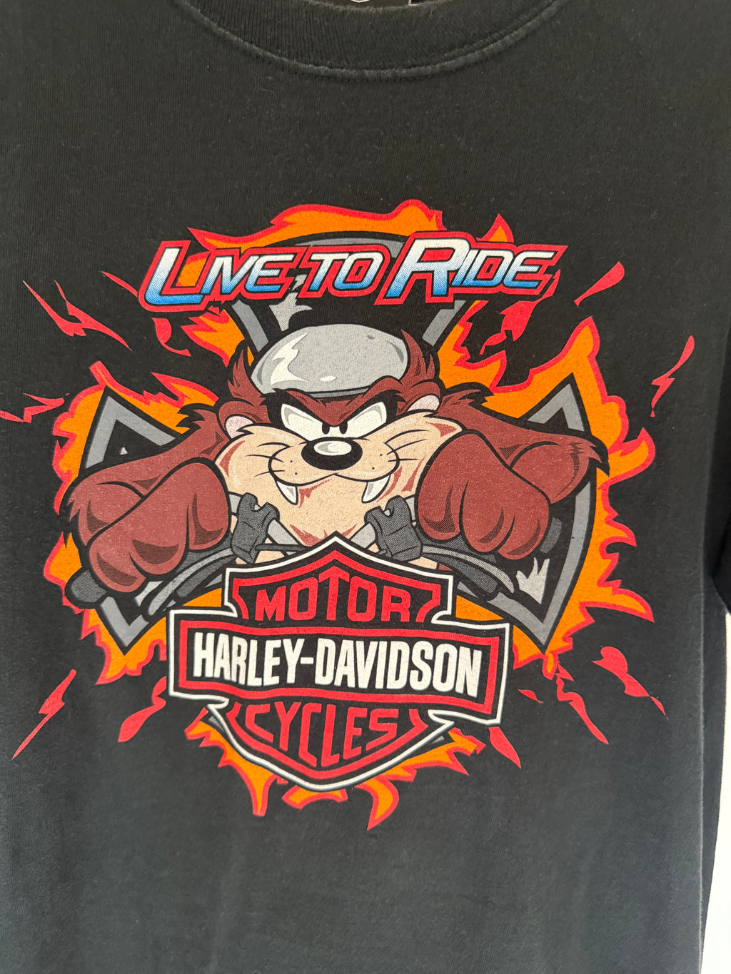 VINTAGE TAZ HARLEY-DAVIDSON GRAPHIC TEE