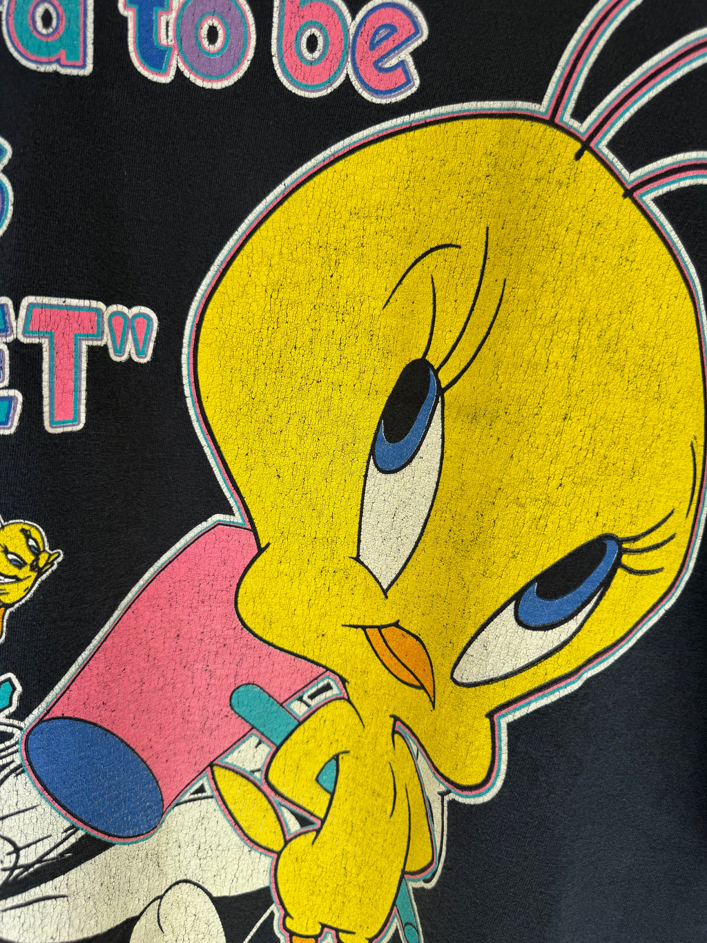 VINTAGE TWEETY & SYLVESTER TEE