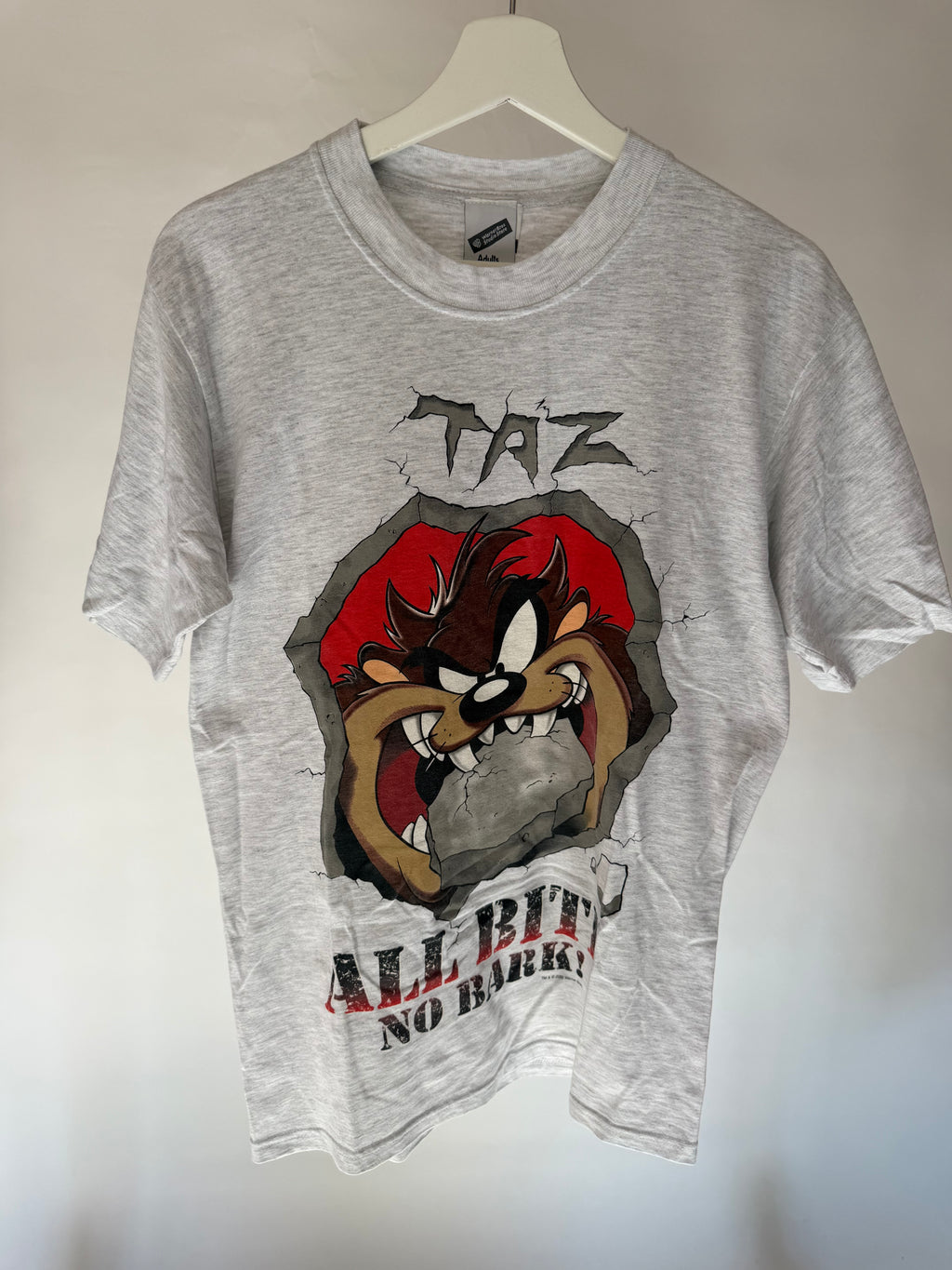 VINTAGE TAZ TEE