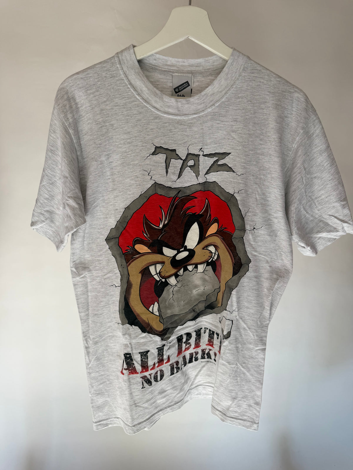 VINTAGE TAZ TEE