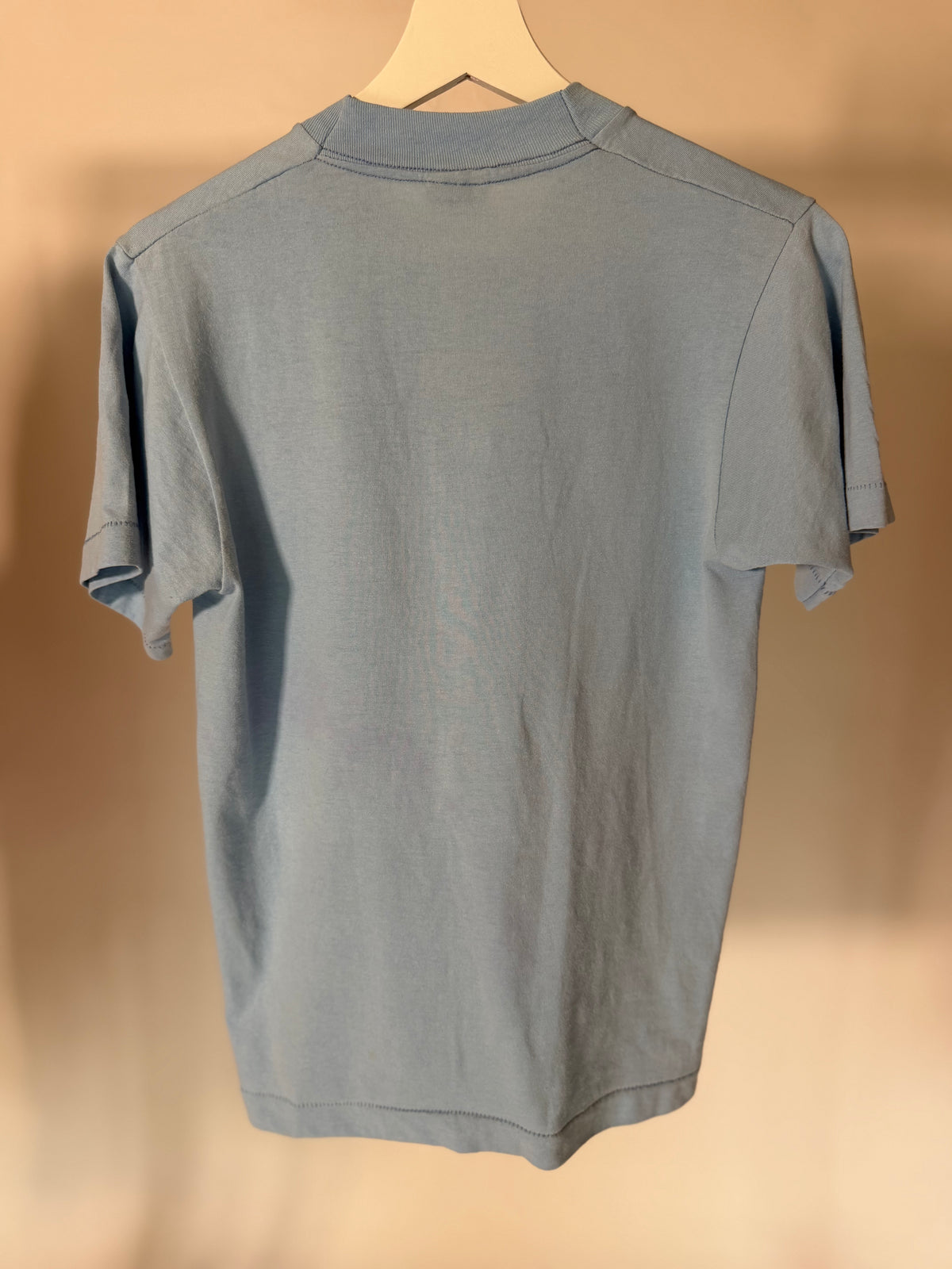VINTAGE SINGLE STITCH BLUEBONNET BOOK AWARDS TEE
