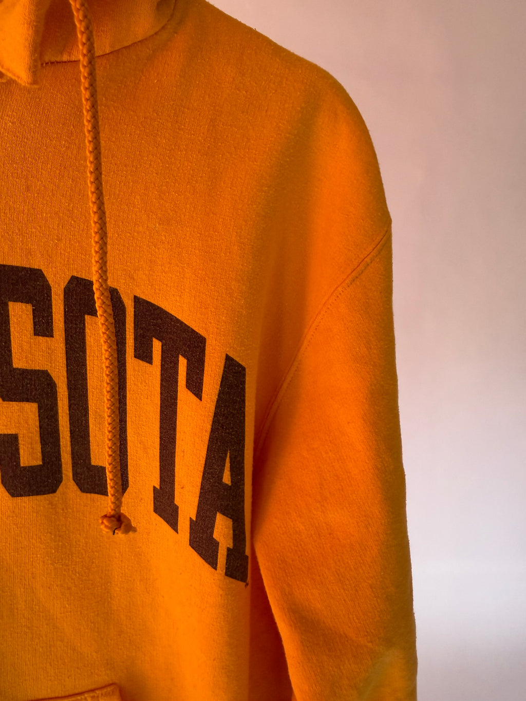 VINTAGE MINNESOTA CHAMPION HOODIE