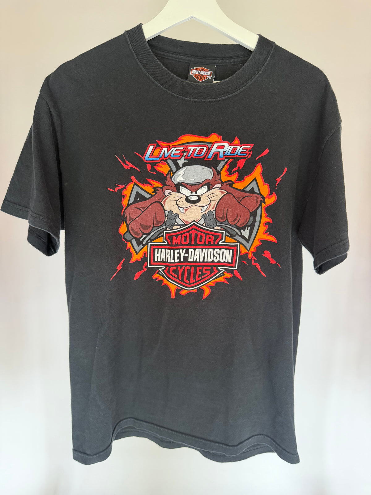 VINTAGE TAZ HARLEY-DAVIDSON GRAPHIC TEE