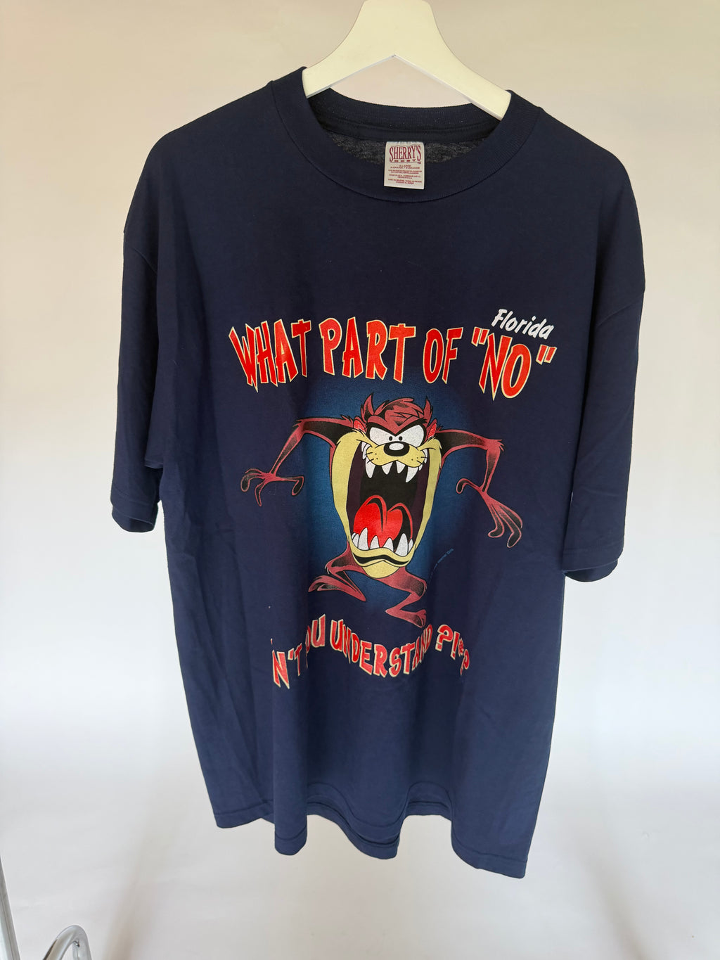 VINTAGE TAZ FLORIDA TEE