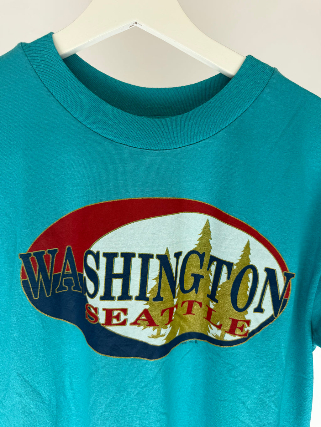 VINTAGE WASHINGTON SEATTLE SINGLE STITCH TEE