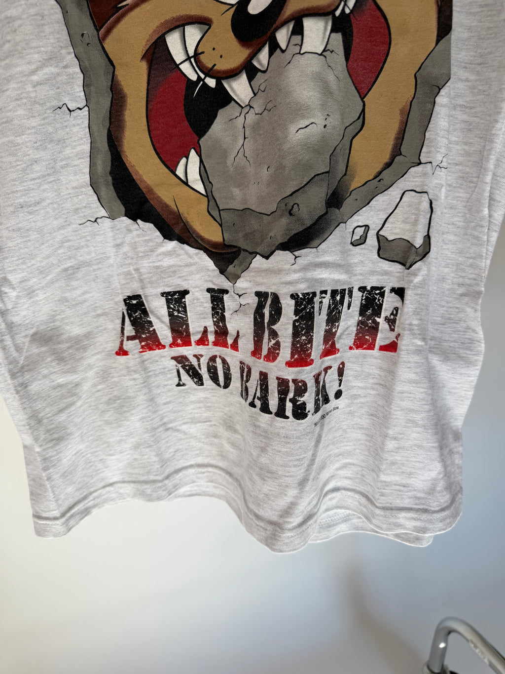 VINTAGE TAZ TEE