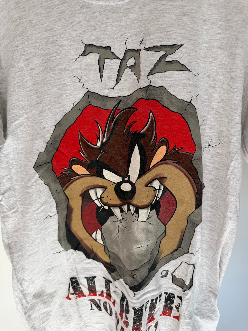 VINTAGE TAZ TEE