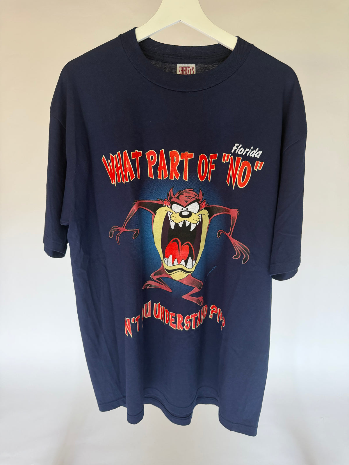 VINTAGE TAZ FLORIDA TEE