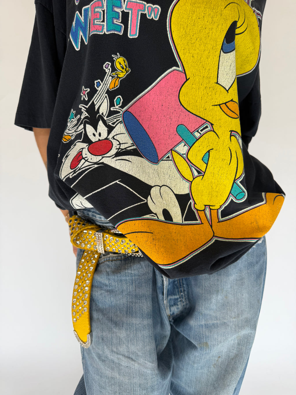 VINTAGE TWEETY & SYLVESTER TEE