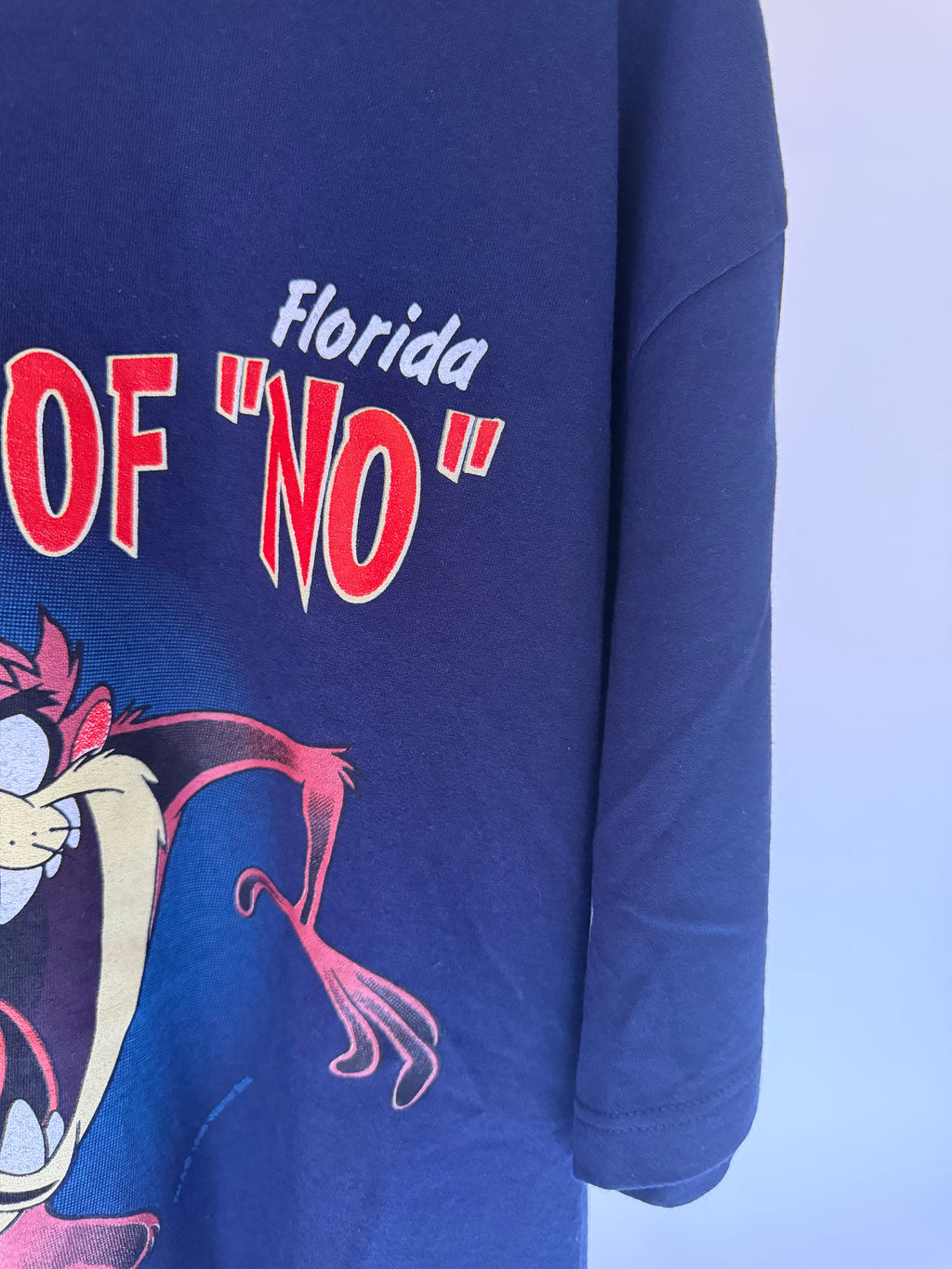 VINTAGE TAZ FLORIDA TEE