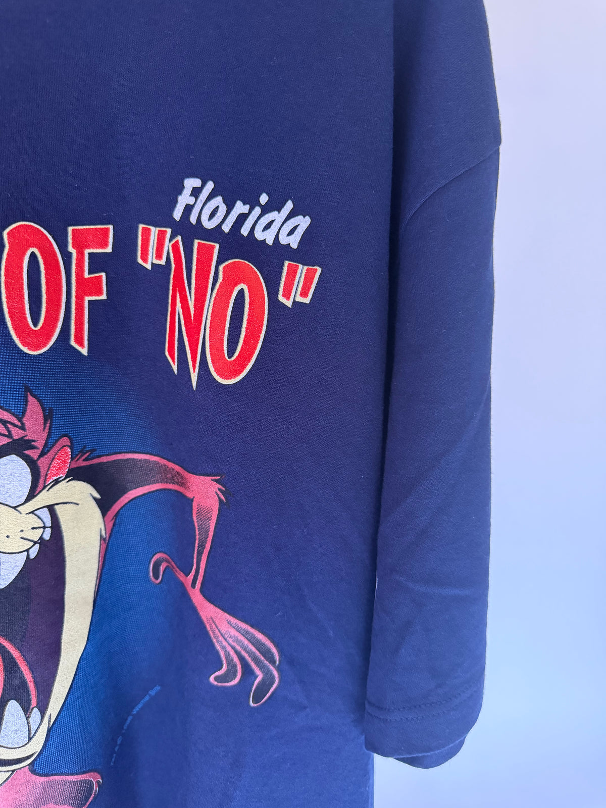 VINTAGE TAZ FLORIDA TEE