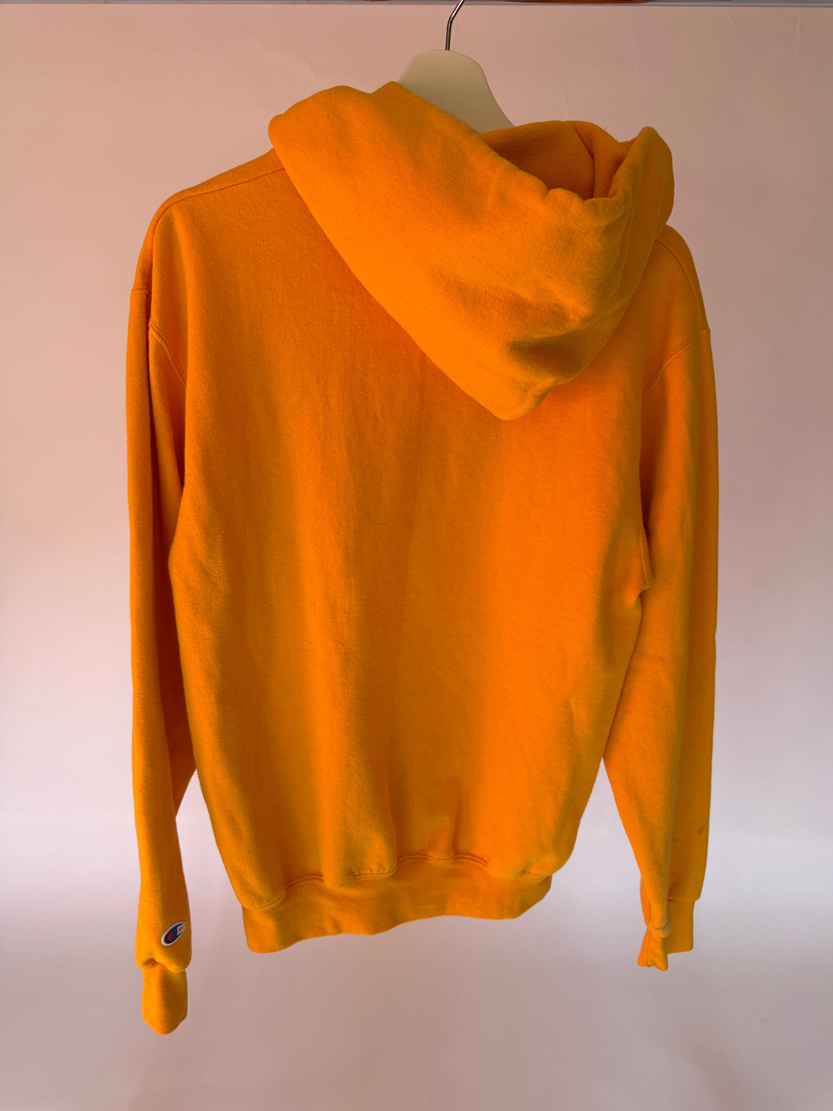 VINTAGE MINNESOTA CHAMPION HOODIE