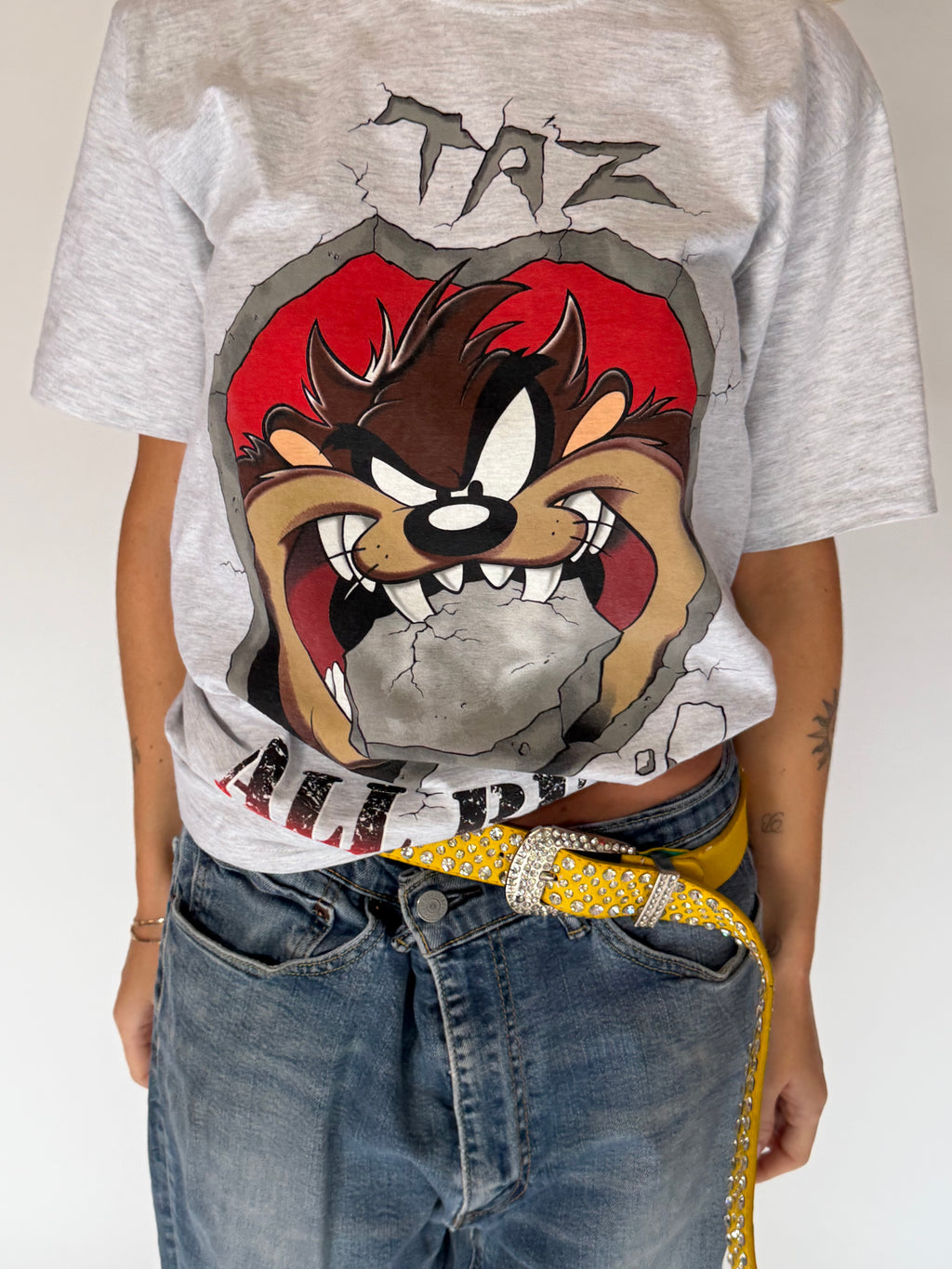 VINTAGE TAZ TEE