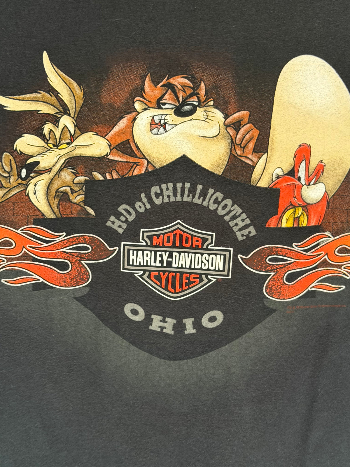 VINTAGE TAZ HARLEY-DAVIDSON GRAPHIC TEE