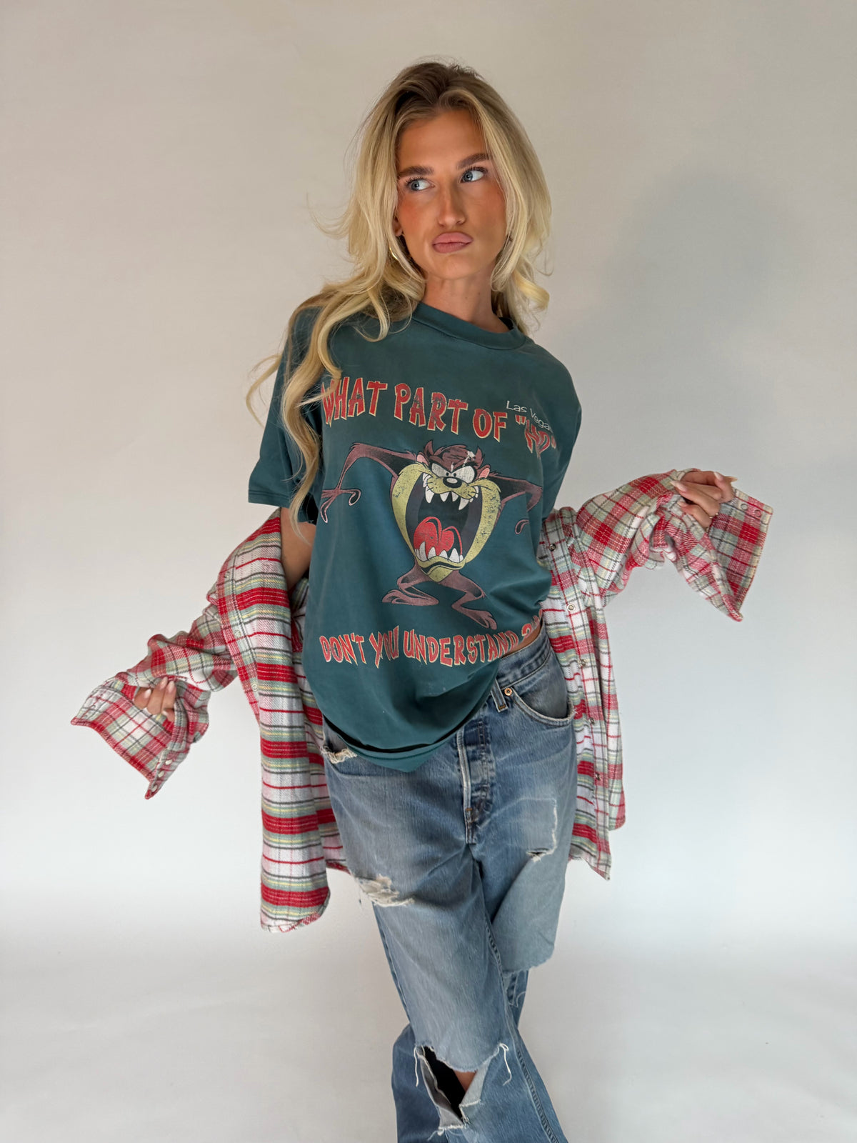 VINTAGE TAZ GRAPHIC TEE