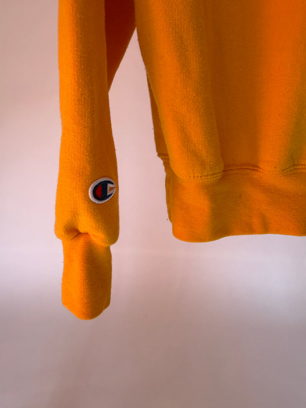VINTAGE MINNESOTA CHAMPION HOODIE