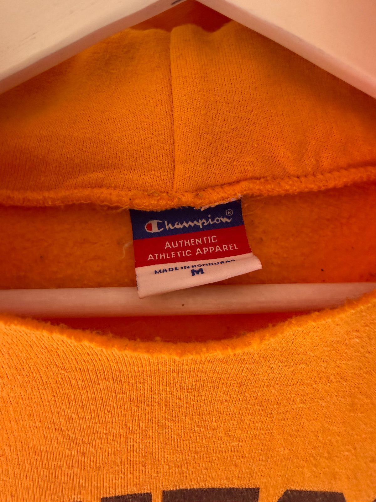 VINTAGE MINNESOTA CHAMPION HOODIE